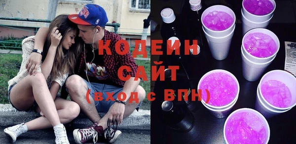 шишки Абаза