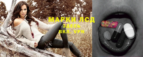 шишки Абаза