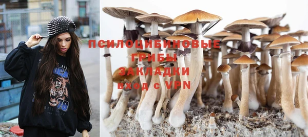прущая мука Новозыбков