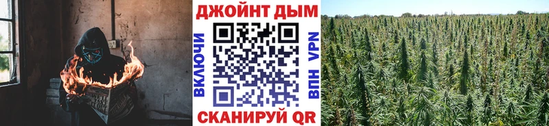 Марихуана сатива  магазин продажи наркотиков  Златоуст 